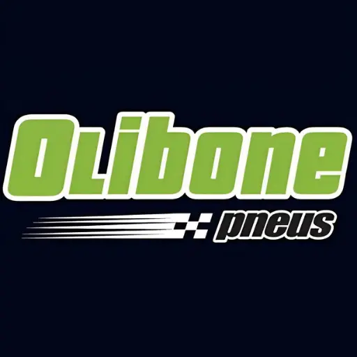 Pneu 175/65R14 Dunlop Sumitomo BC20 82T - Olibone Pneus E