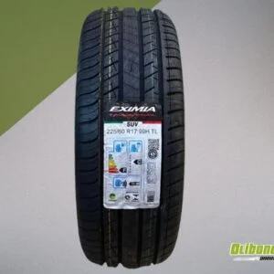 Pneu 225/60R17 Sunny NU025 H/T 99V - Olibone Pneus E Autocenter