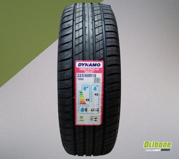 Pneu 225/60R18 Dynamo Hiscend-H MSU01 100V