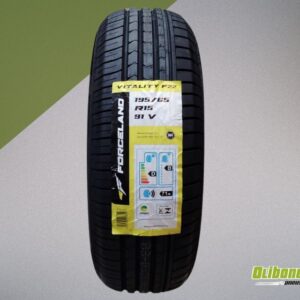 Pneu 195/65R15 Forceland Vitality F22 91V