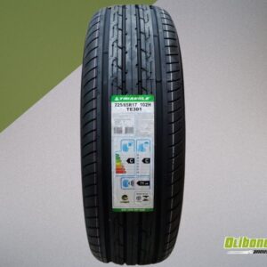 Pneu 225/65R17 Triangle TE301 102H