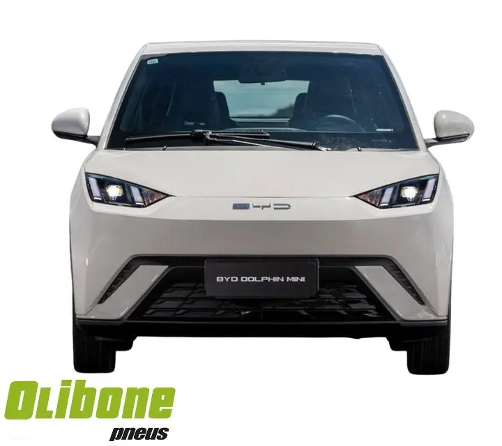 byd dolphin na cor branca