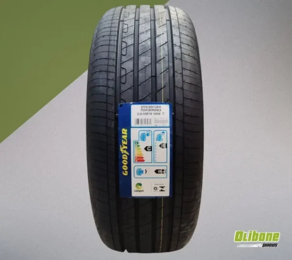 Pneu 235/55R18 GoodYear Efficientgrip Performance 100W