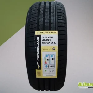Pneu 215/50R17 Forceland Vitality F22 95W