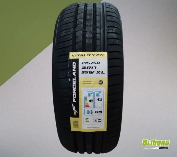 Pneu 215/50R17 Forceland Vitality F22 95W